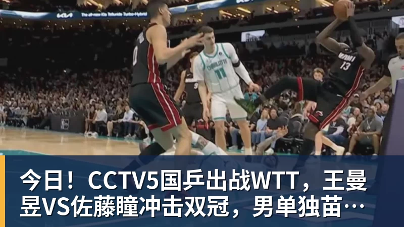 今日！CCTV5国乒出战WTT，王曼昱VS佐藤瞳冲击双冠，男单独苗周启豪PK松岛辉空