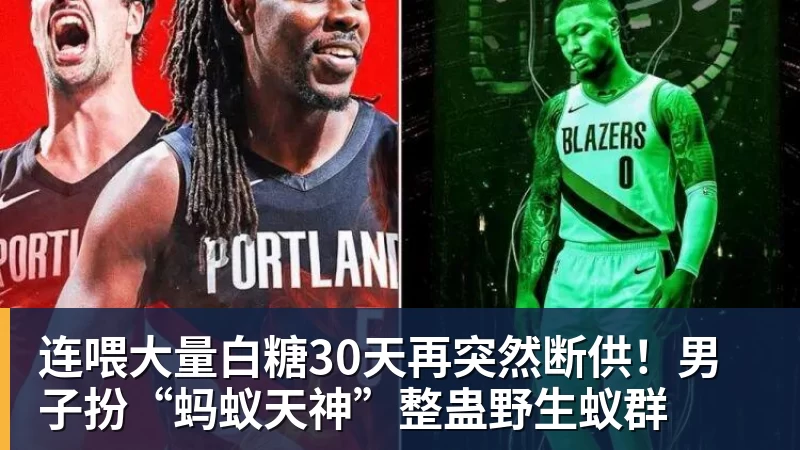 连喂大量白糖30天再突然断供！男子扮“蚂蚁天神”整蛊野生蚁群